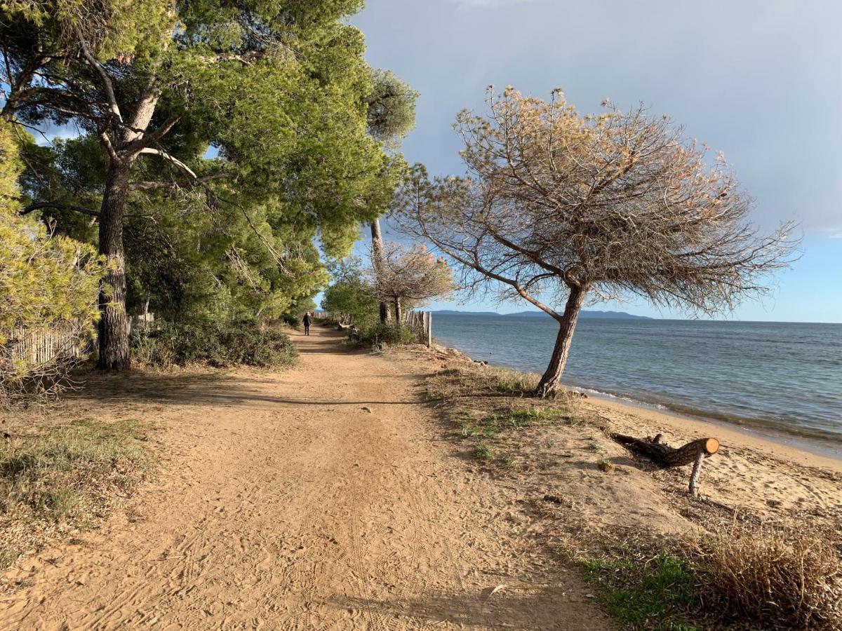 T2 climatisé à l'Ile d'Or avec piscine près de la plage La Londe-les-Maures Exterior foto